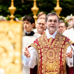 Stephanifest / Erzdiözese Wien/Schönlaub, Stephan Schönlaub