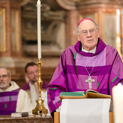 Erzdiözese Wien/ Schönlaub, Stephan Schönlaub