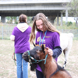 Dies & Das im Therapiehof Regenbogental