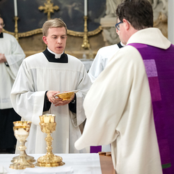 Erzdiözese Wien/ Schönlaub, Stephan Schönlaub