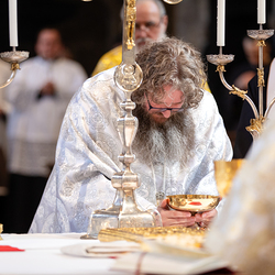 Priesterweihe Byzantinischer Ritus im Stephansdom / Erzdiözese Wien/ Schönlaub