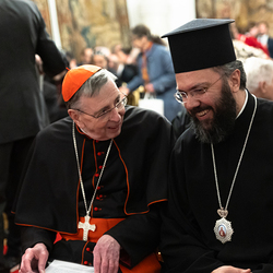 Erzdiözese Wien/ Schönlaub, Stephan Schönlaub