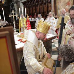 Priesterweihe Byzantinischer Ritus im Stephansdom / Erzdiözese Wien/ Schönlaub
