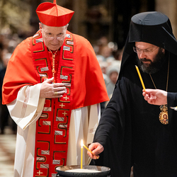 Erzdiözese Wien/ Schönlaub, Stephan Schönlaub