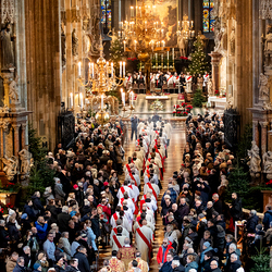 Stephanifest / Erzdiözese Wien/Schönlaub, Stephan Schönlaub