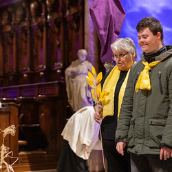 WDST 2024 im Stephansdom / Erzdiözese Wien/Schönlaub