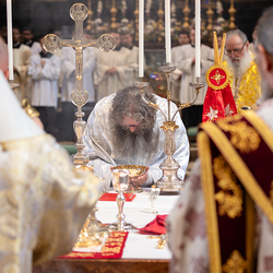 Priesterweihe Byzantinischer Ritus im Stephansdom / Erzdiözese Wien/ Schönlaub