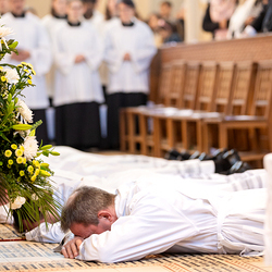 Erzdiözese Wien/Schönlaub, Stephan Schönlaub