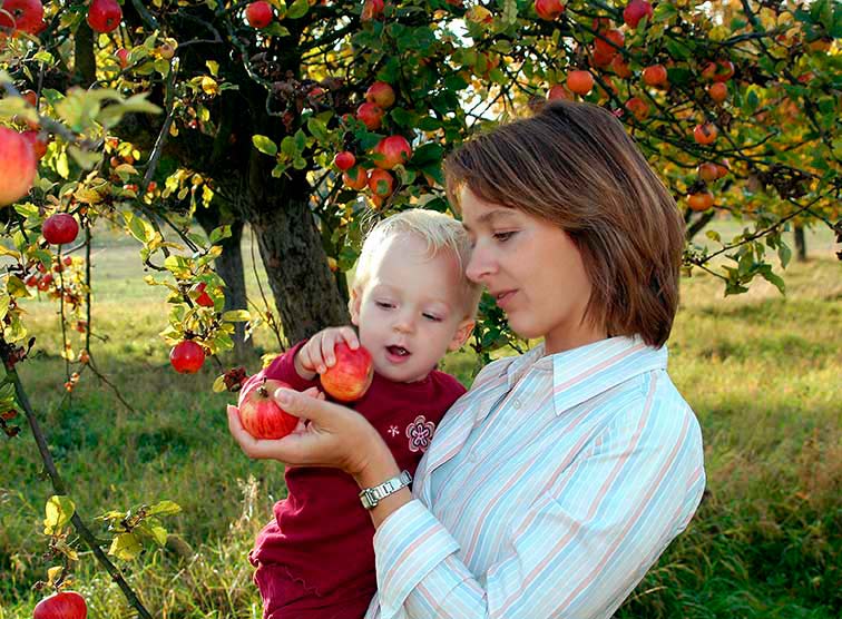 2 Generationen unter dem Apfelbaum